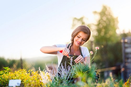 Professional hedge cutting for a Greenwich garden boundary