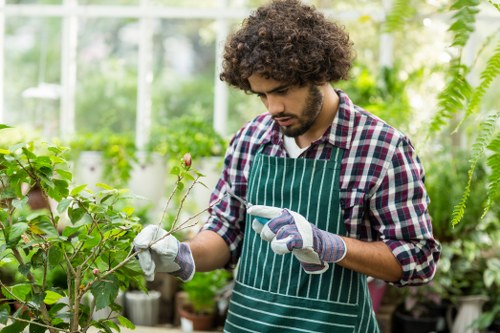 SSL-encrypted Tree Surgeons Greenwich online payment page