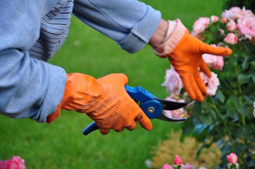 Manager escalating a tree surgery complaint for further review