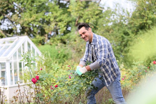 Professional arborist discussing payment and service terms