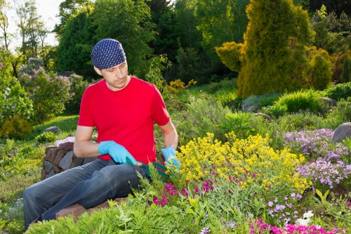 Tree surgeons Greenwich providing a transparent pricing estimate