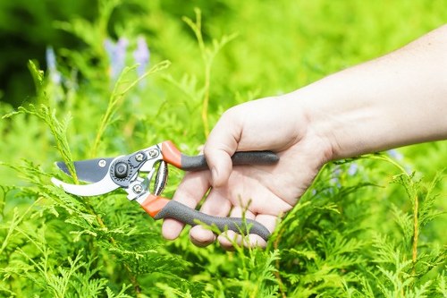 Legal service terms for tree surgery under England and Wales law