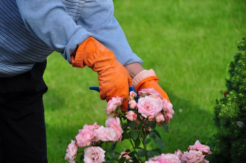 Greenwich tree care specialist working on a residential property
